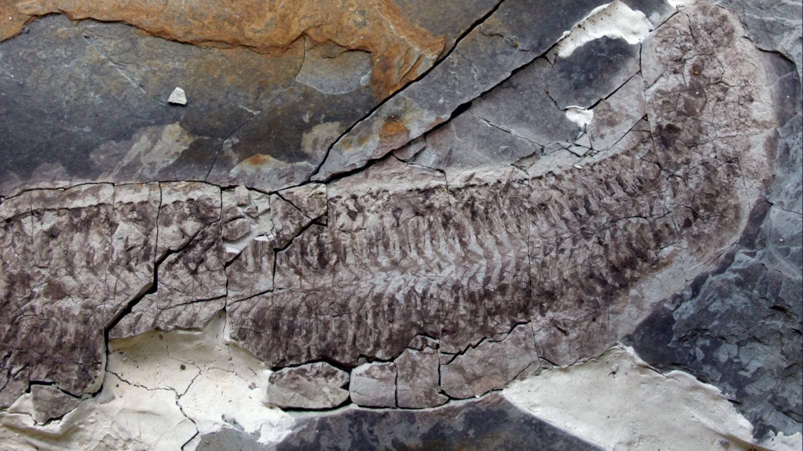 ѧҷ˿֮ǰܾþʹڵġڶ⡢ȡͷ漣