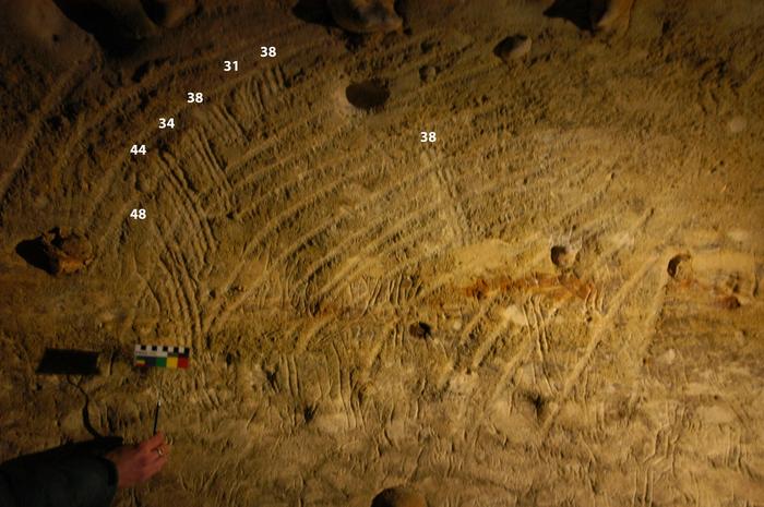 Ϊʲô�����ǿ��ܲ�����ʷǰ��Ѩ�����Ĵ���