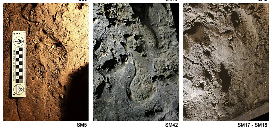 Ϊʲô�����ǿ��ܲ�����ʷǰ��Ѩ�����Ĵ���