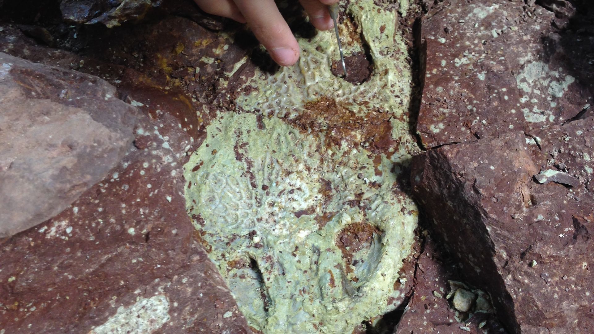 ˷ѽġǴʾСܶڻݴģ