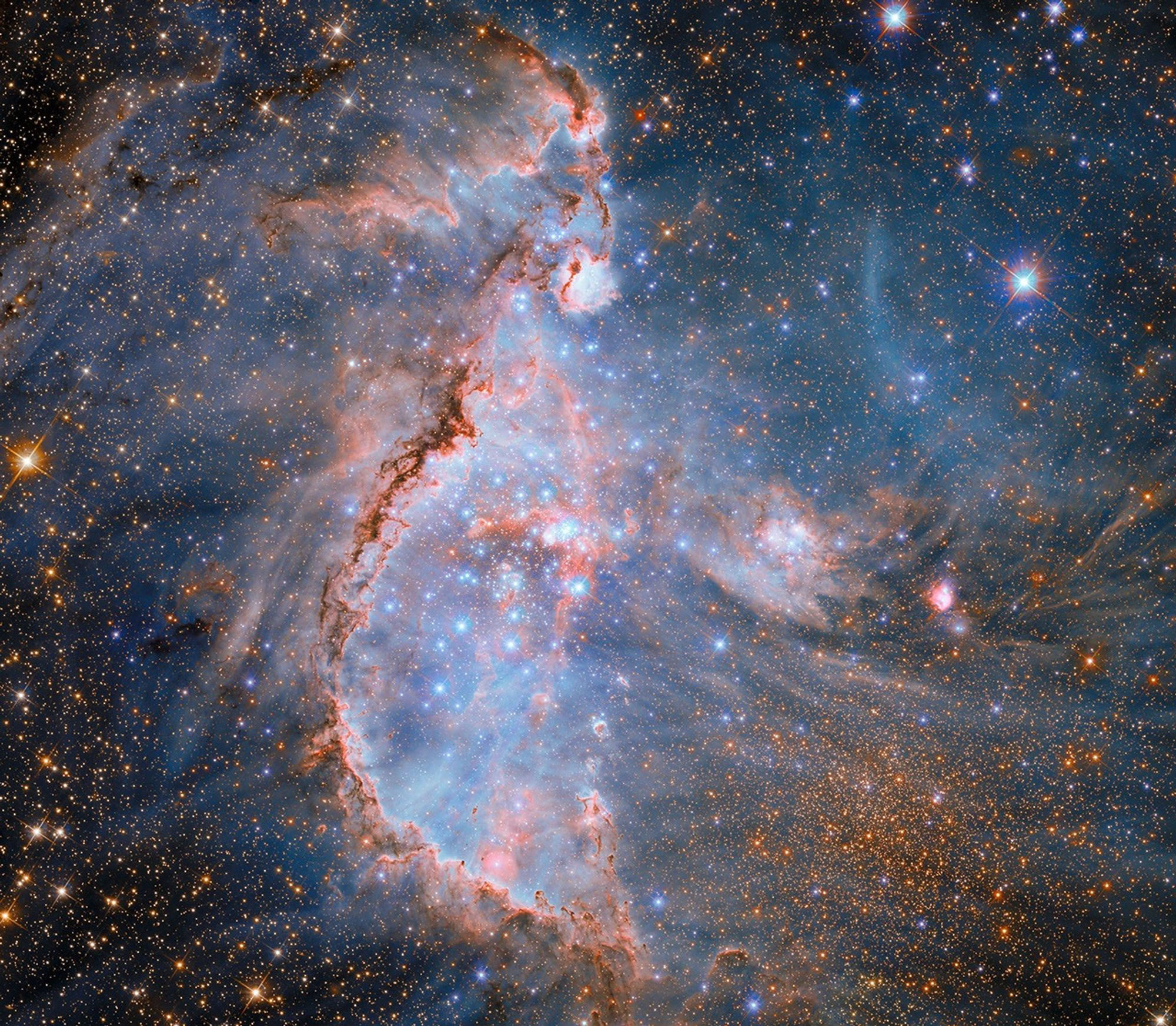 ������Զ���ڸ�������������NGC 346�з����˺��ǵ�̼�
