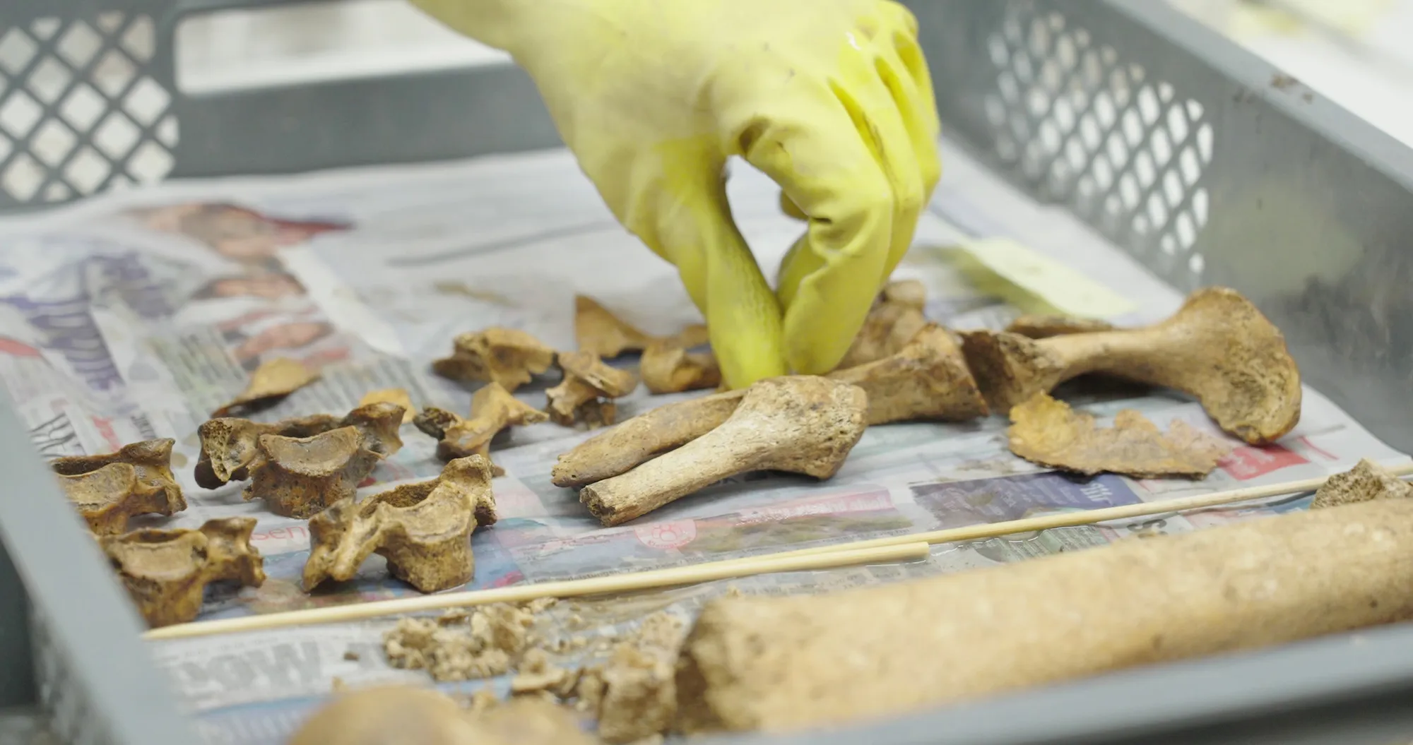 �µ���άҲ�������·���120��������ʿ���ļ����Ĺ