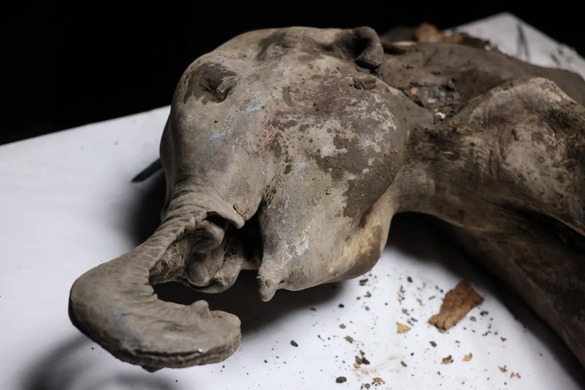 ���ʵ������������������񡰷��͵��������⡱