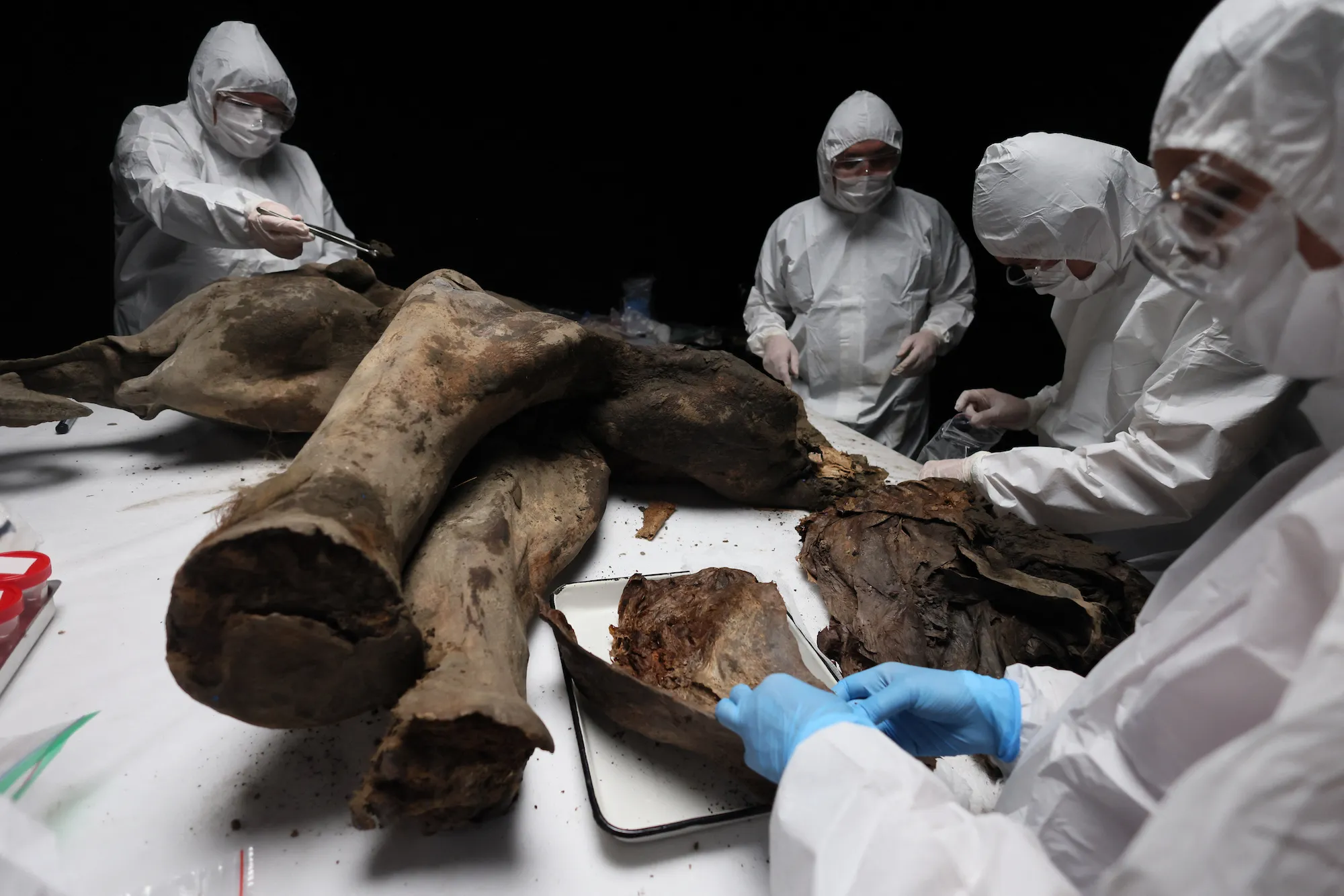 ���ʵ������������������񡰷��͵��������⡱