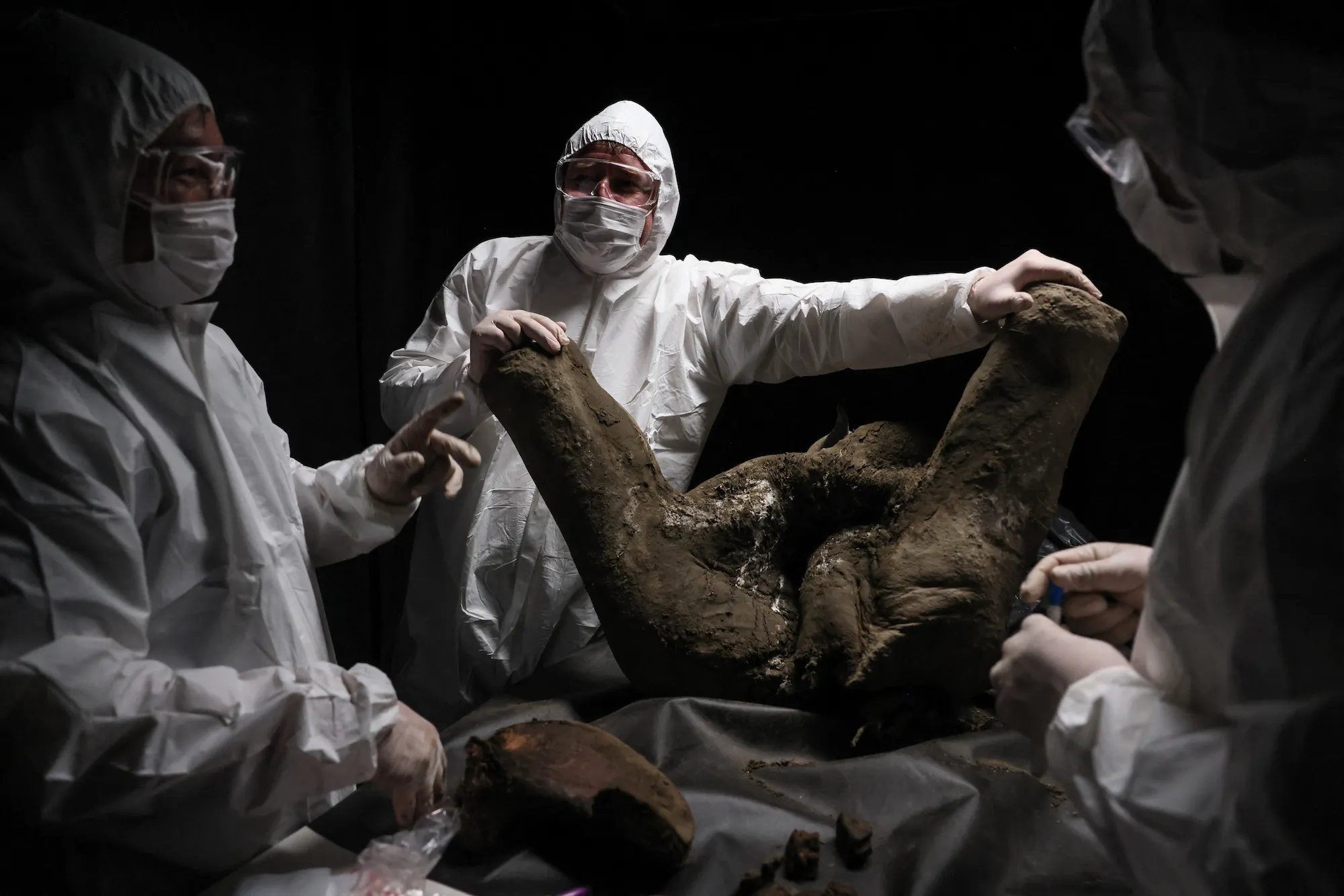 ���ʵ������������������񡰷��͵��������⡱