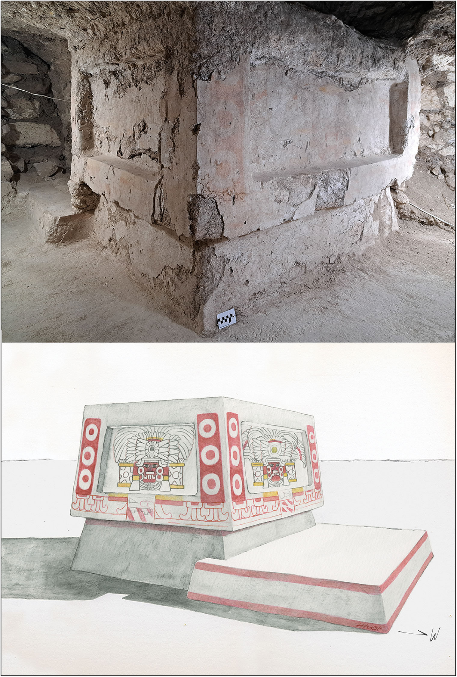 ��Σ�������ٿ������ֵĲʻ��̳Ϊ���ص�������ʷ�������µı���