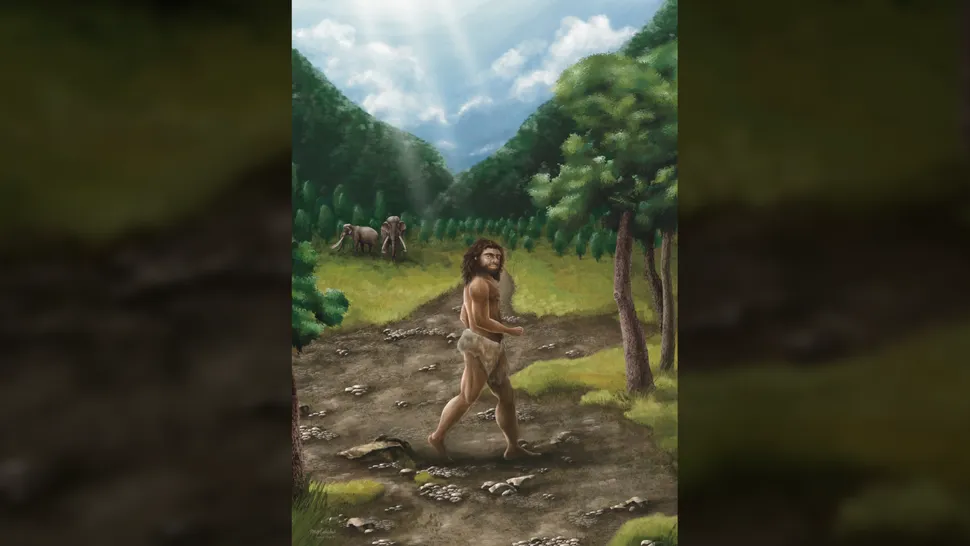 ��Ϊ�����ĵ�����������֤ʵ��������ױ鲼����