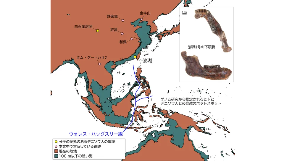 ��Ϊ�����ĵ�����������֤ʵ��������ױ鲼����