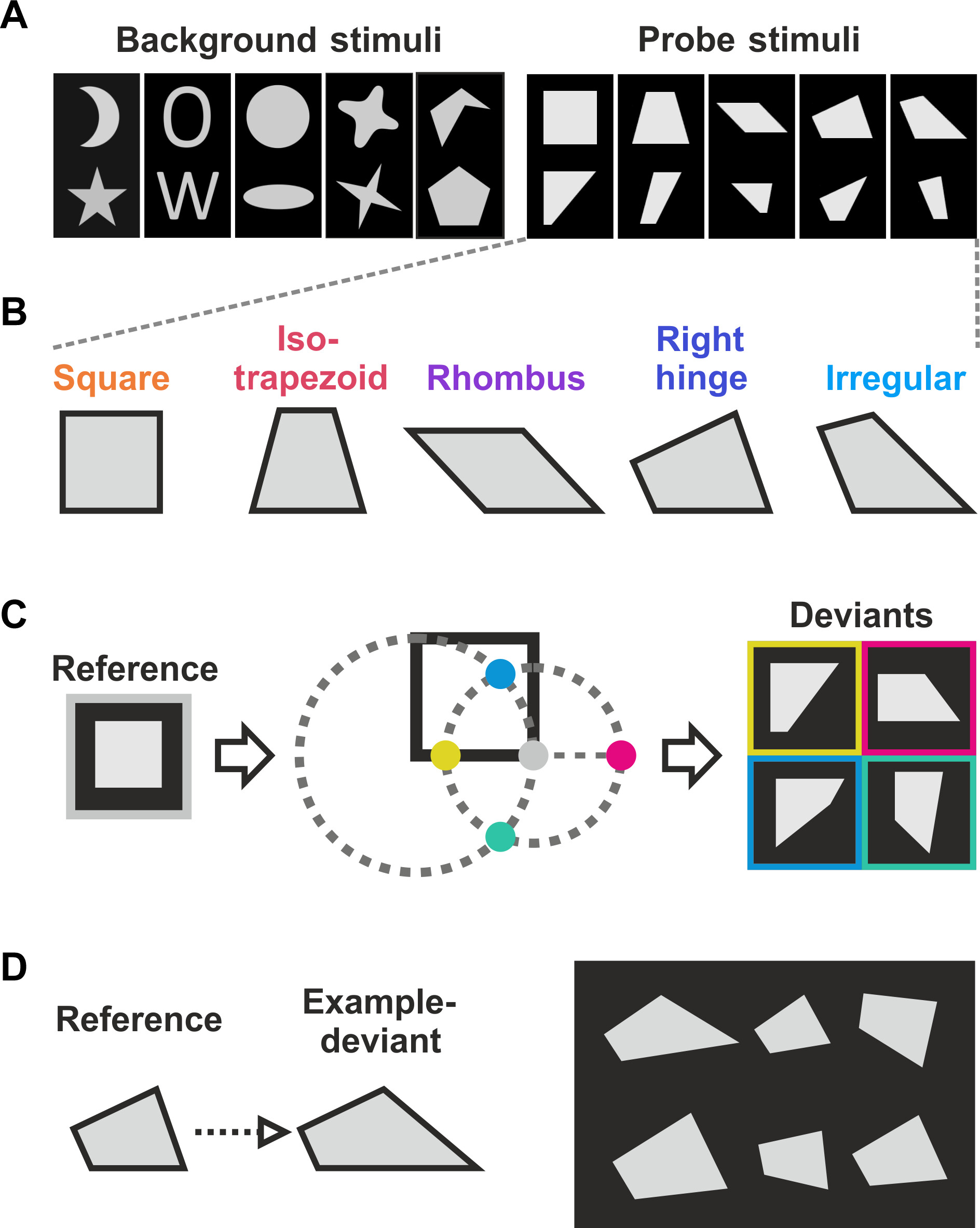 乌鸦能识别几何规律