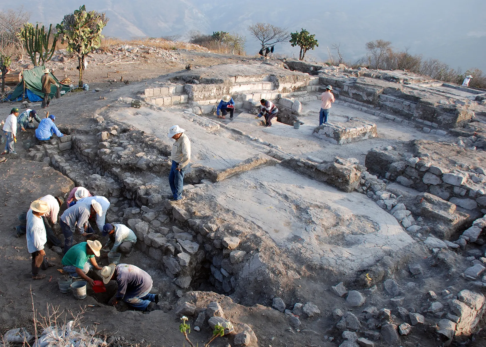 ݡǰδСĿѧоƽȲǲɱ