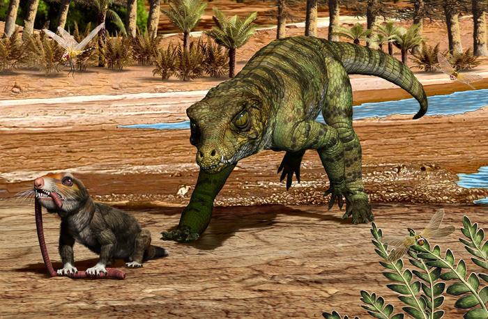 今天鳄鱼的祖先在两次大灭绝事件中幸存下来:研究揭示了它们长寿的秘密