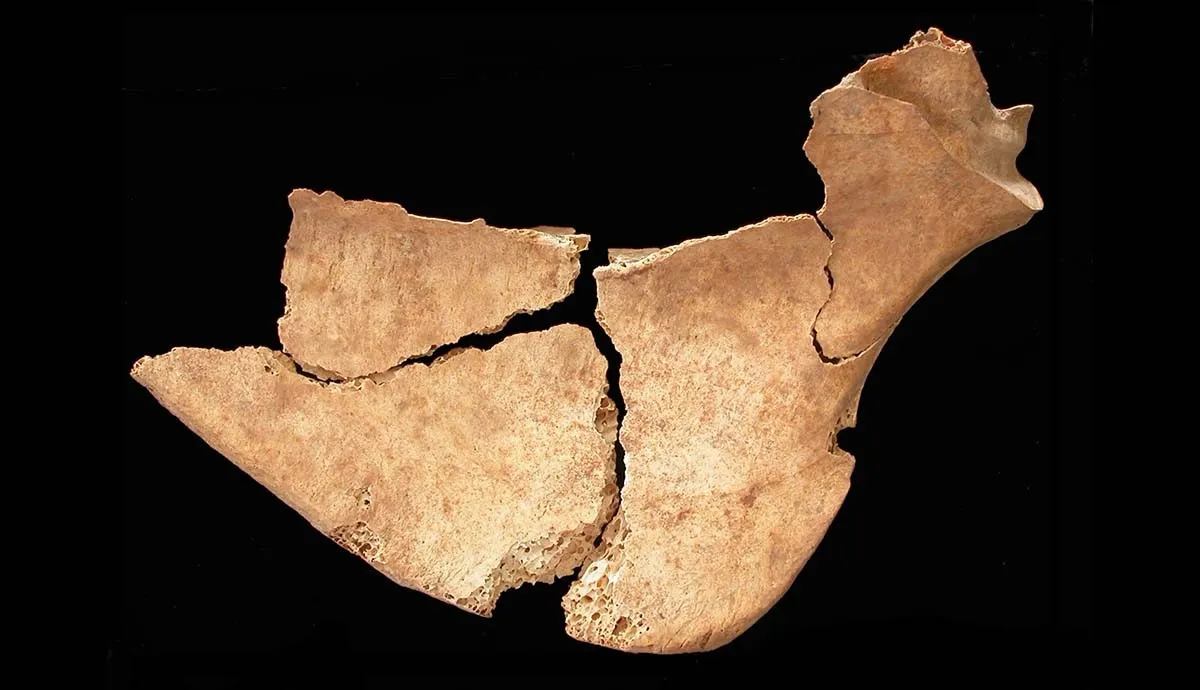 15000��ǰ������������ʱ�����ܳԵ��˴��