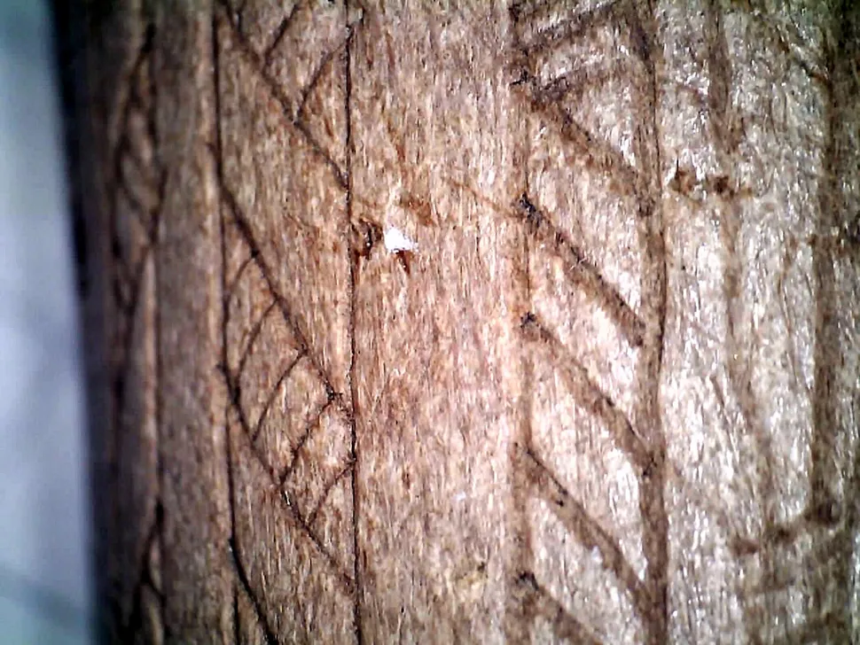 ����ʯ��ʱ�����ġ�װ�λ�������¹�Ǳ�����ս���Ͳ������