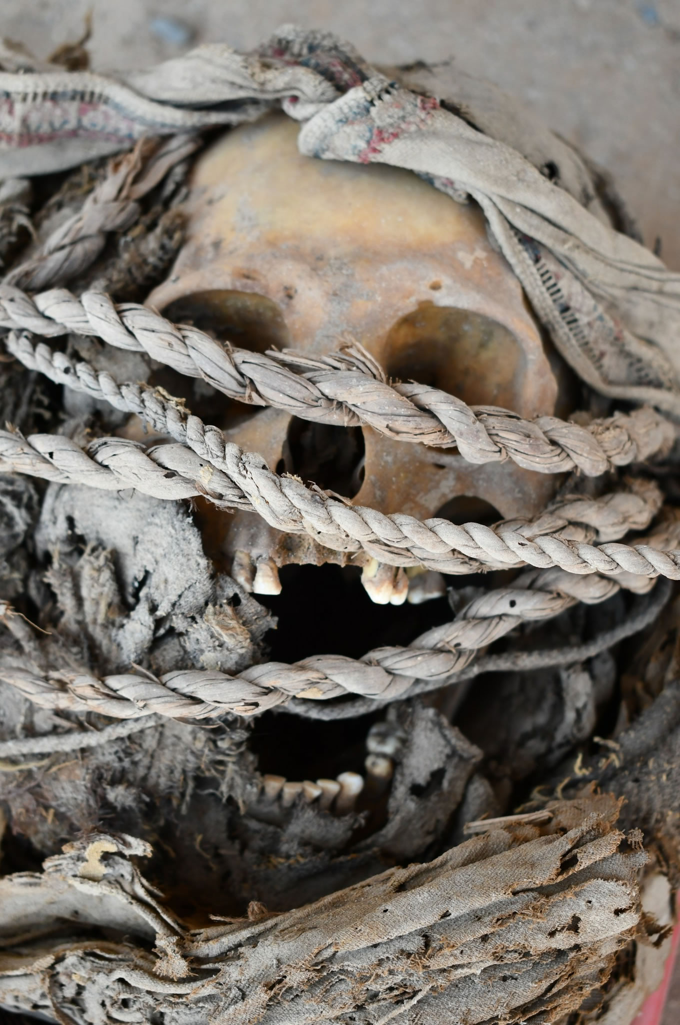 ��³������һ���޴��Բ�η�Ĺ�����������˺����۵���