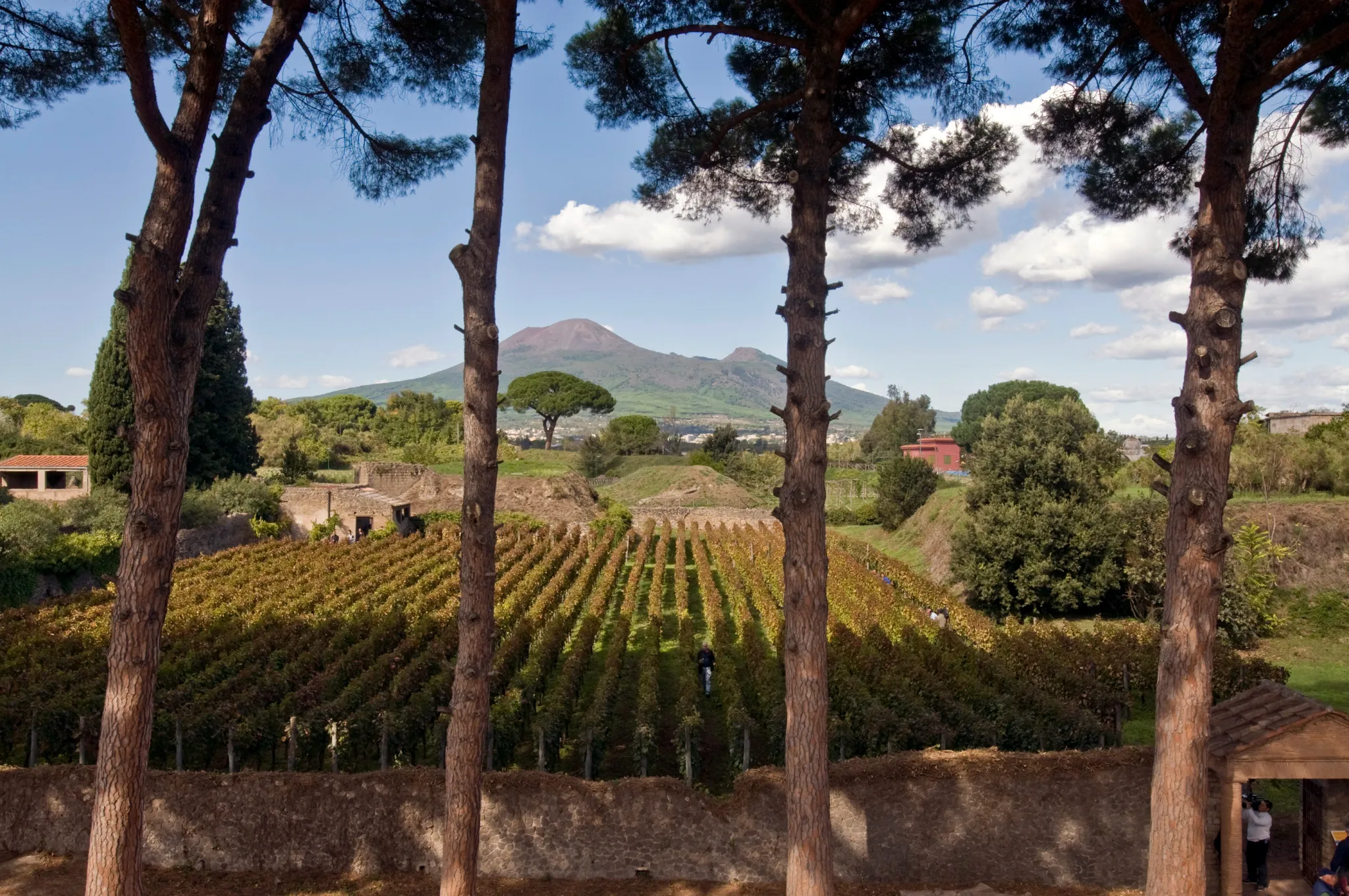 Ϊ��ͭʱ��������ɱ���Ϊ����ζ����������Ѿ�