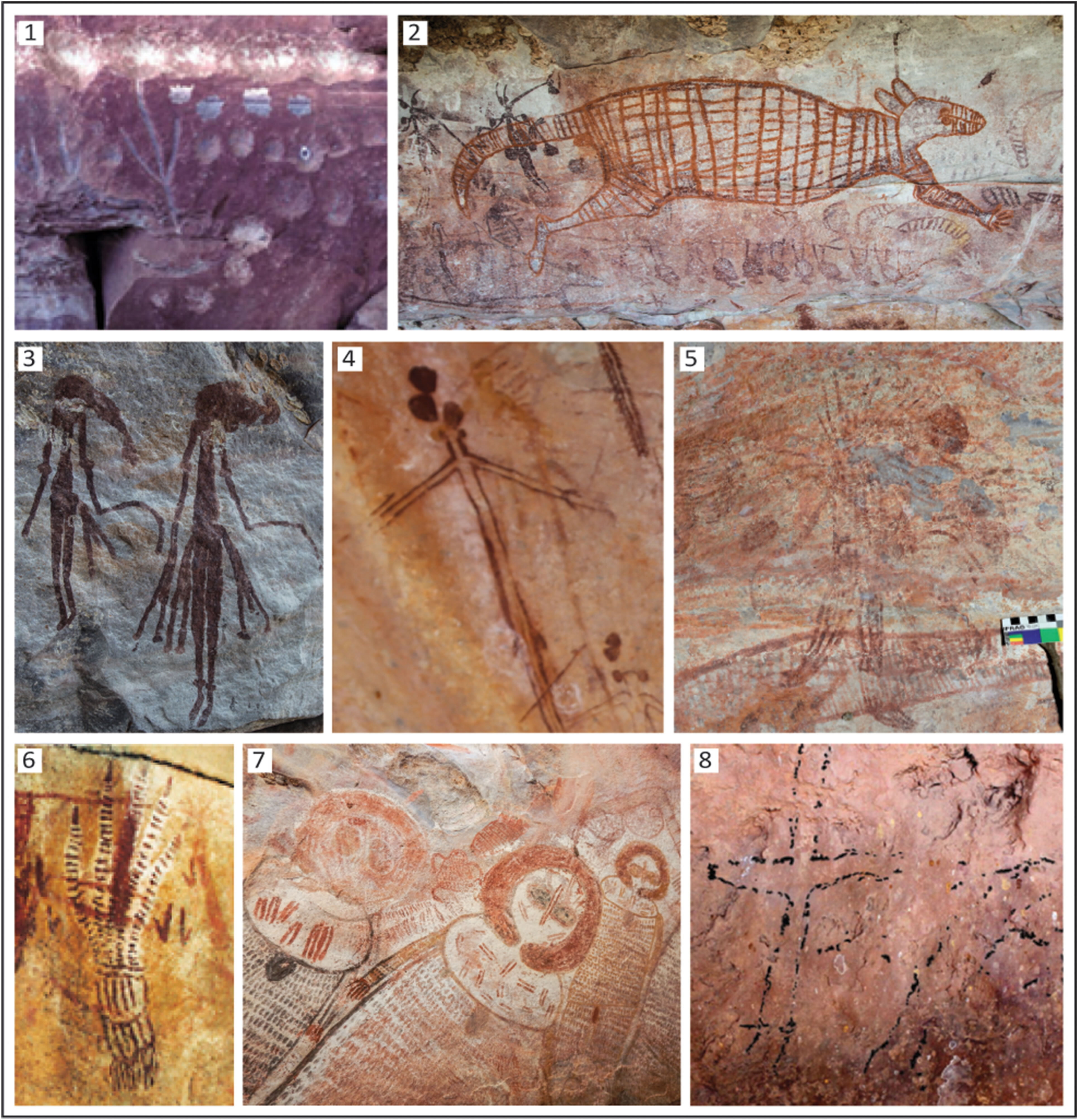 近期研究发现的全新世原住民岩石艺术风格