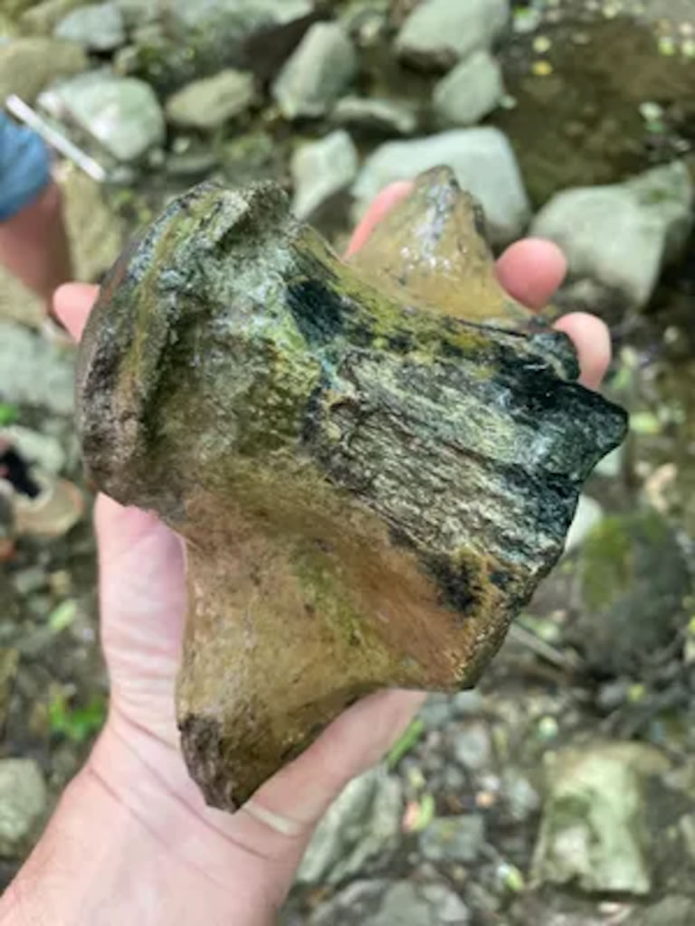 ����ѧ�������������ݵ����������ⷢ����һ��޴�Ĳ�����ʯ