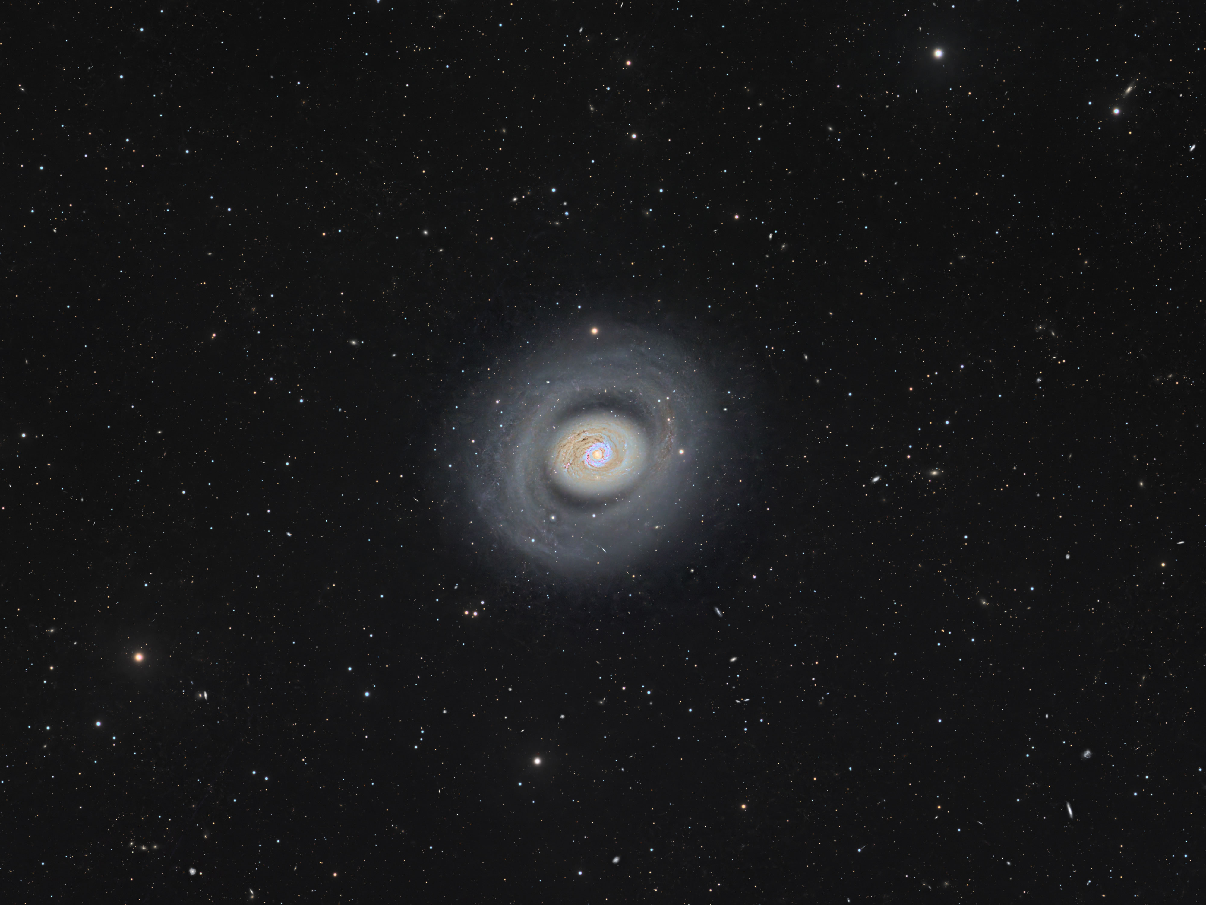 ҵѧҴӺԺ̨׽ۺϵϸƬ