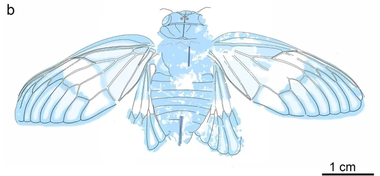 �¹���������ġ��������ʯ�����Ѿ����˽�������4700����