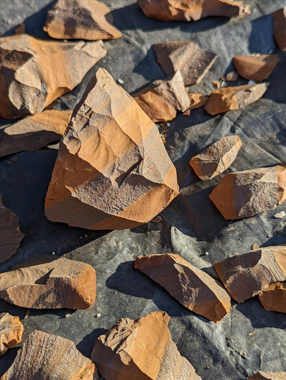 ����ʯ������ʯͷ��һλ����ѧ�ҽ����˿�ѧ����ηֱ����ֲ���