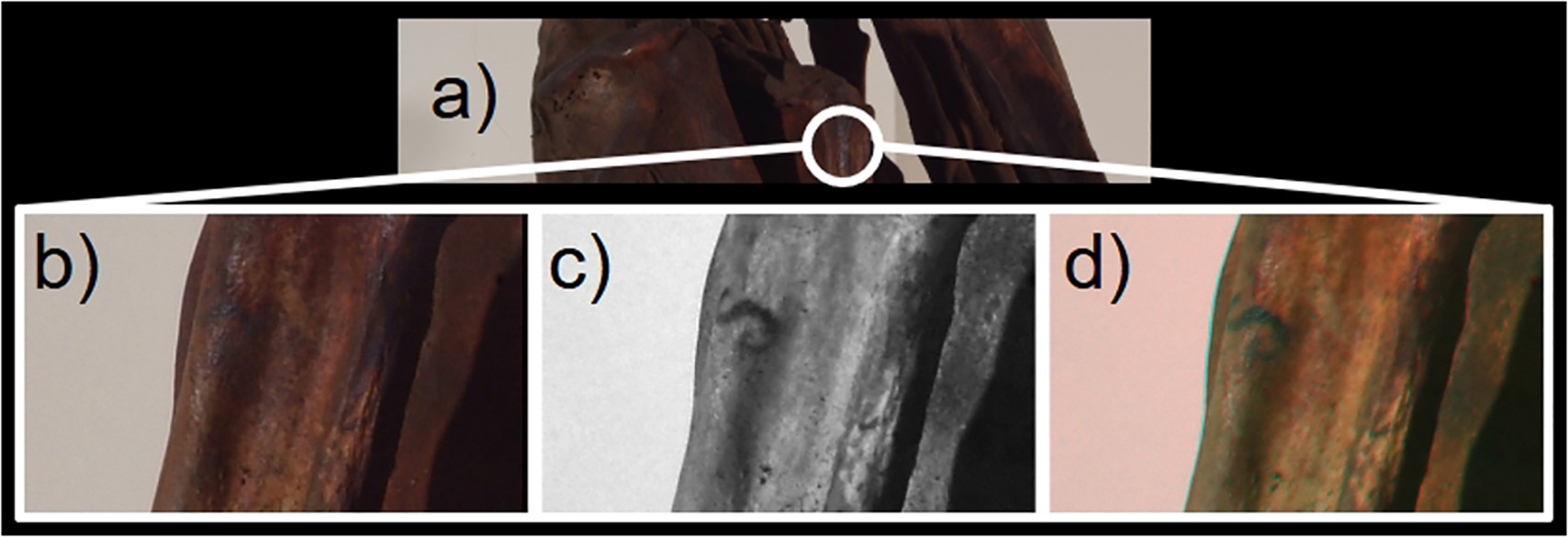 在800年前的安第斯木乃伊上发现了形状和成分罕见的纹身