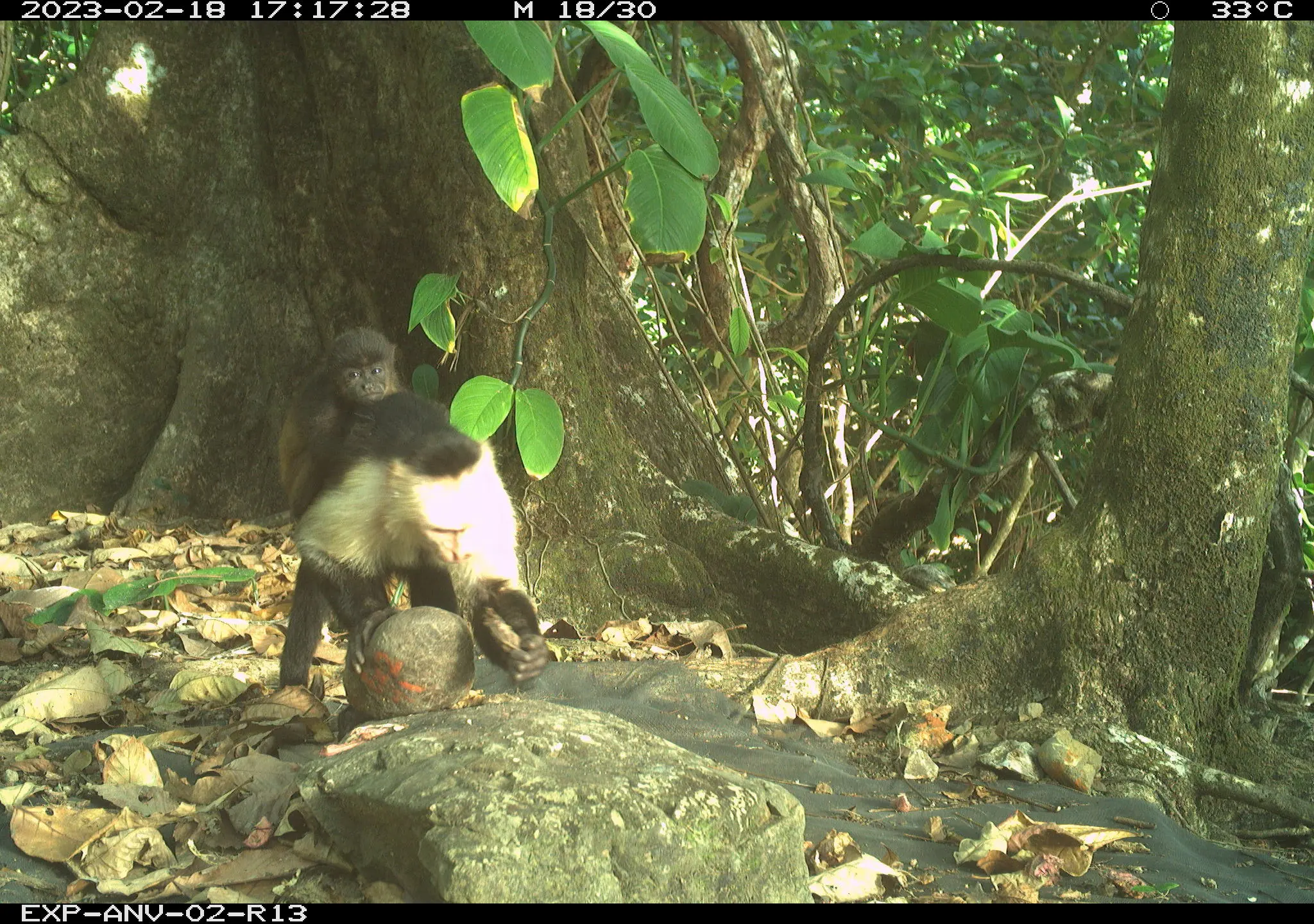 ��β�����׺���𾪿�ѧ��