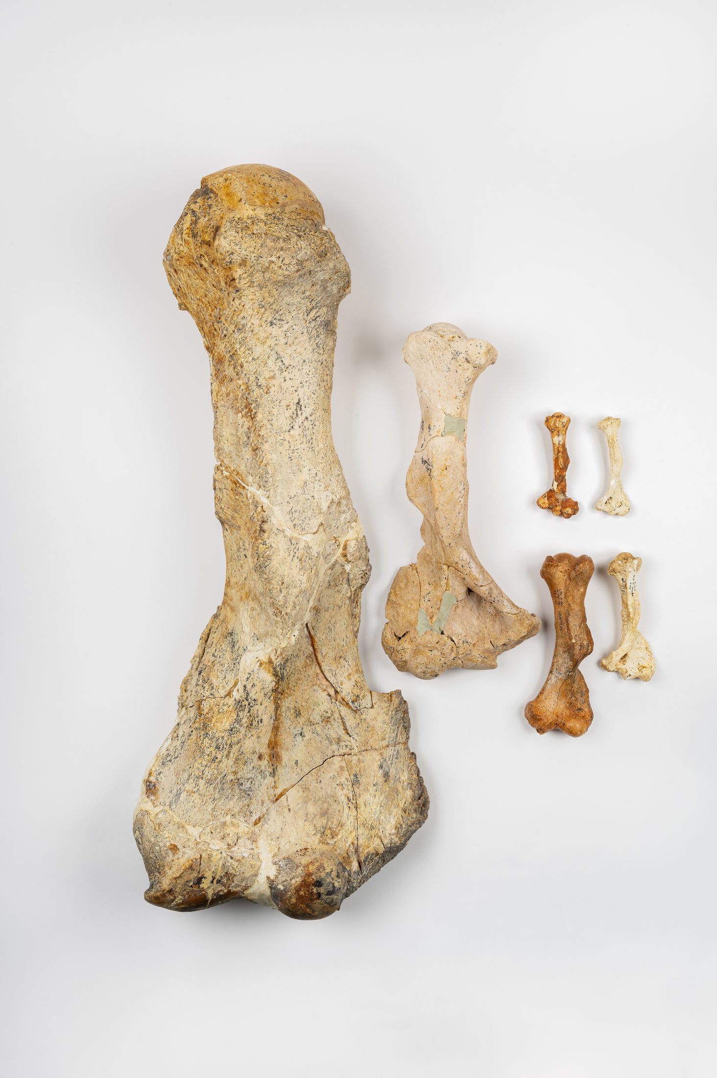 ��ѧ�����Ѿ�Ū������Ѿ�����ľ��͵�������α�����֮���