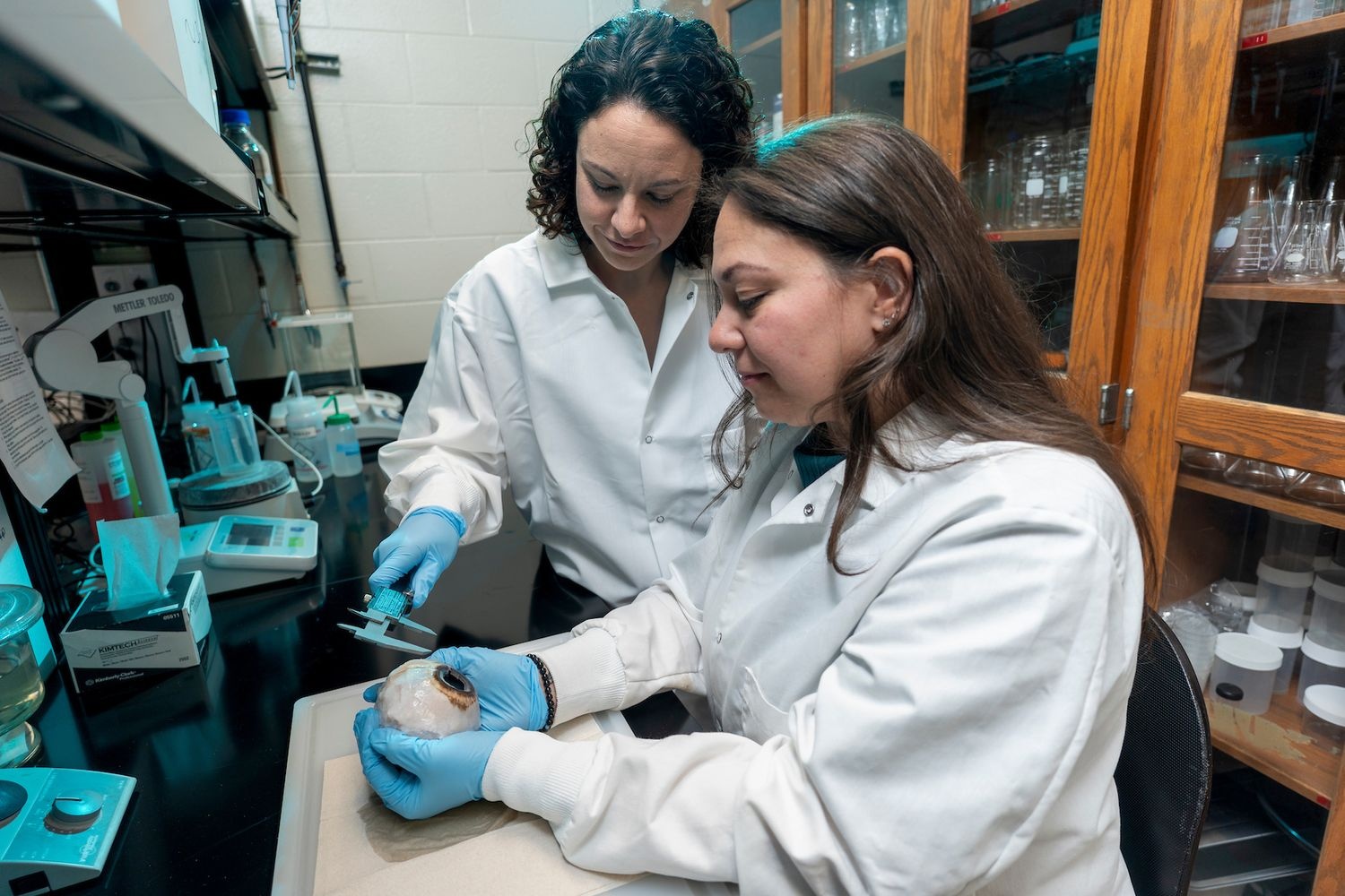 �о����֣���ͷ������������ǰ��Ϊ��Ҫ��