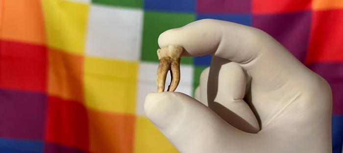 �о���������粡����ŷ���˵���֮ǰ�ʹ���������