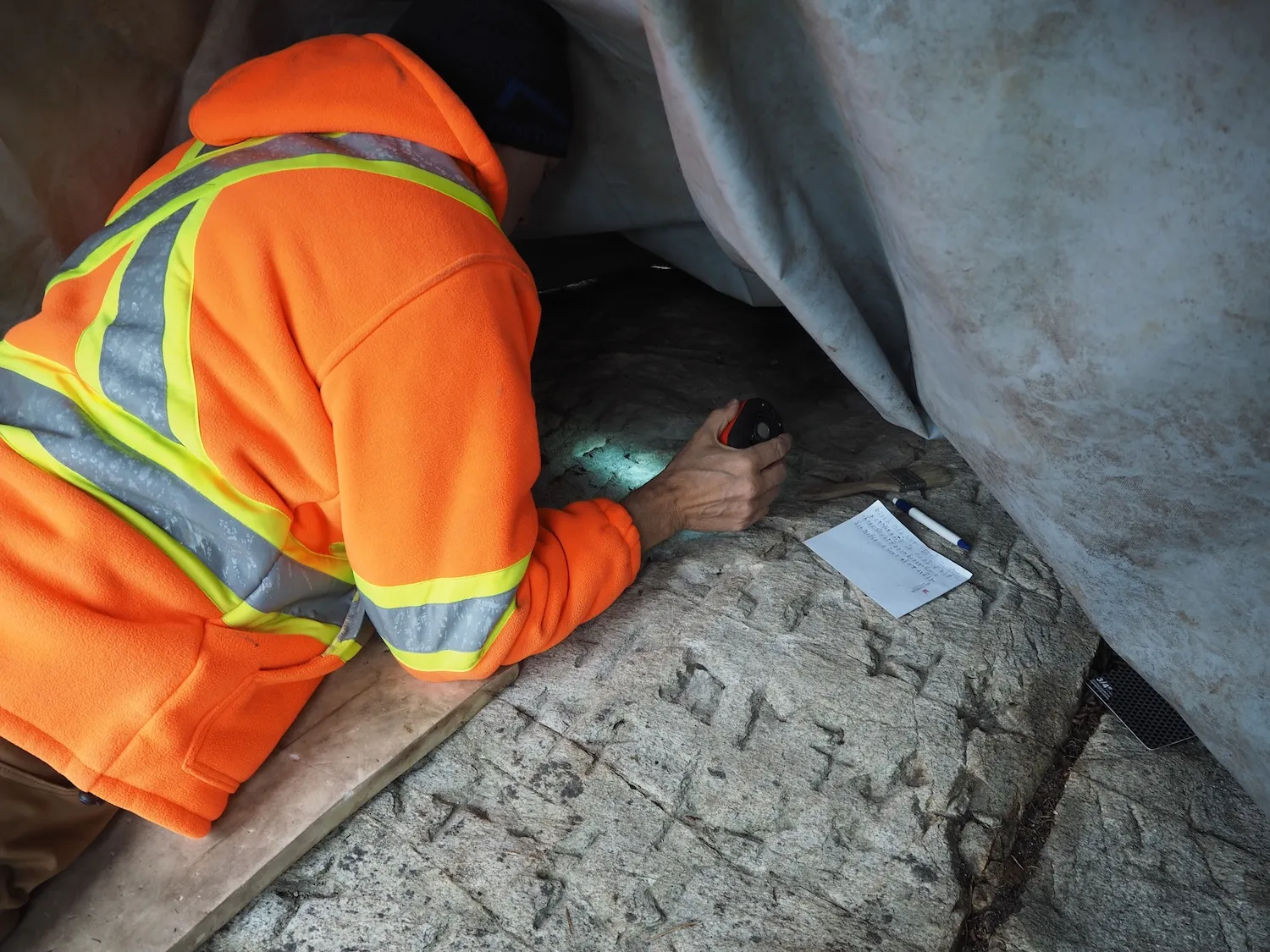 ���ô��Ұ�з��ֵķ������ѧ������