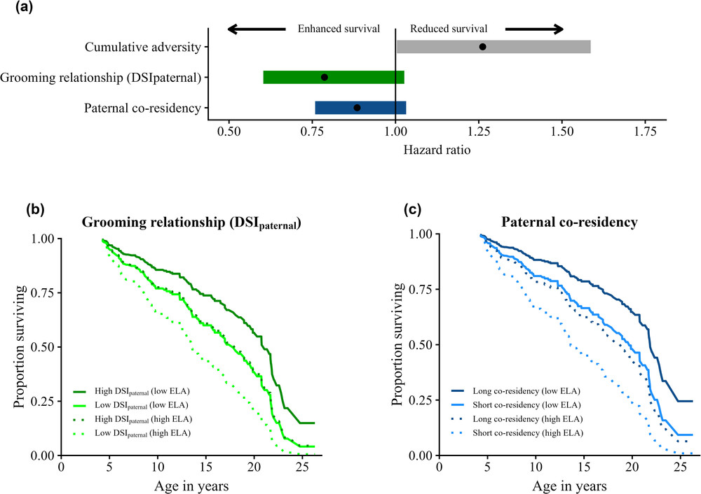 研究发现,与父亲关系密切的雌性狒狒往往寿命更长
