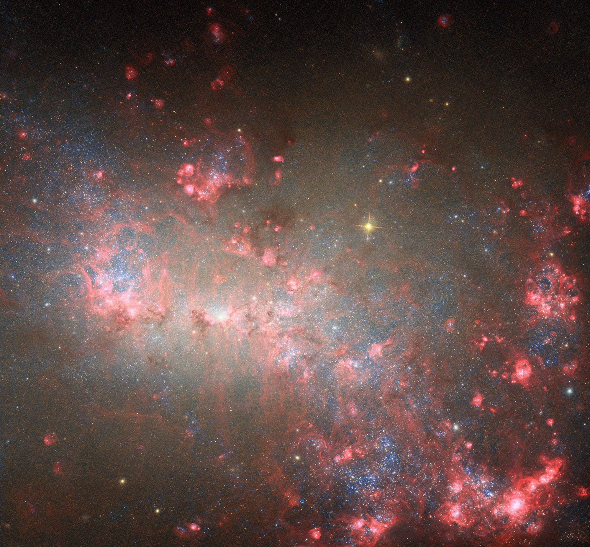 ̫Զ㸽ȮϵNGC 4449