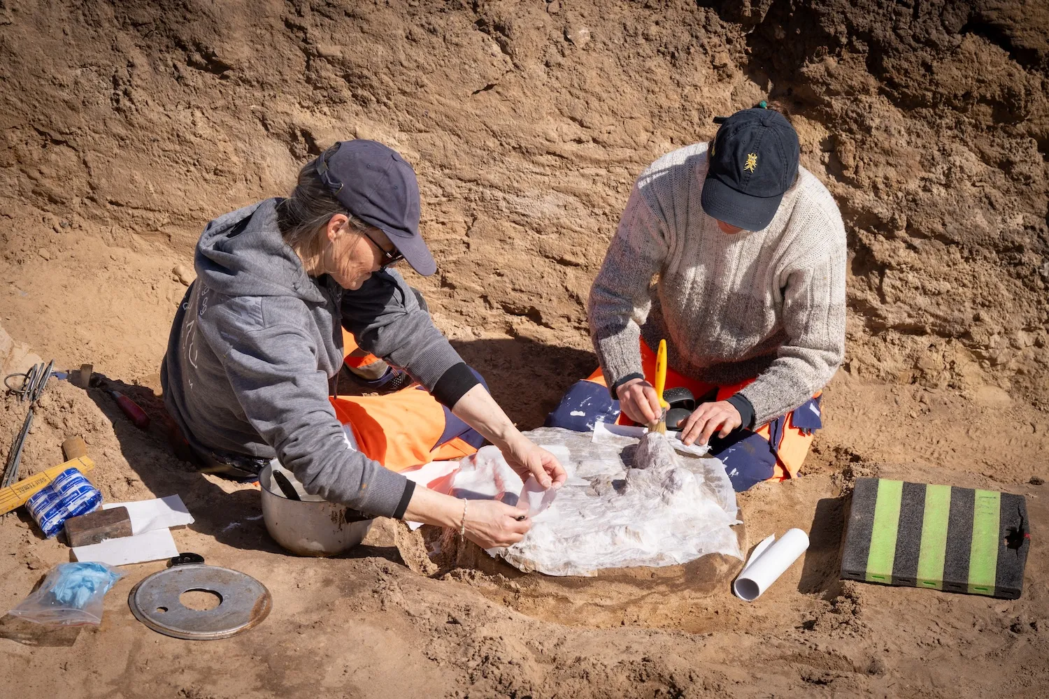 �������˷���ά���˵ķ�Ĺ������ġ��������й�