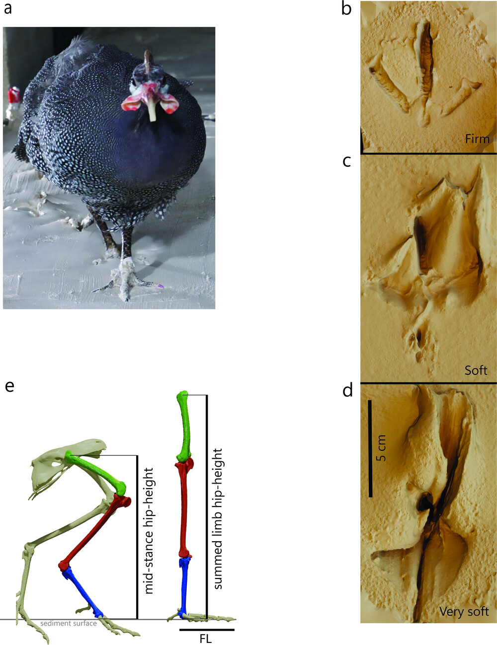 �۲����鼦�������ϱ��ܱ��������ڼ�������ٶȵ���ѧ���ܲ�׼ȷ
