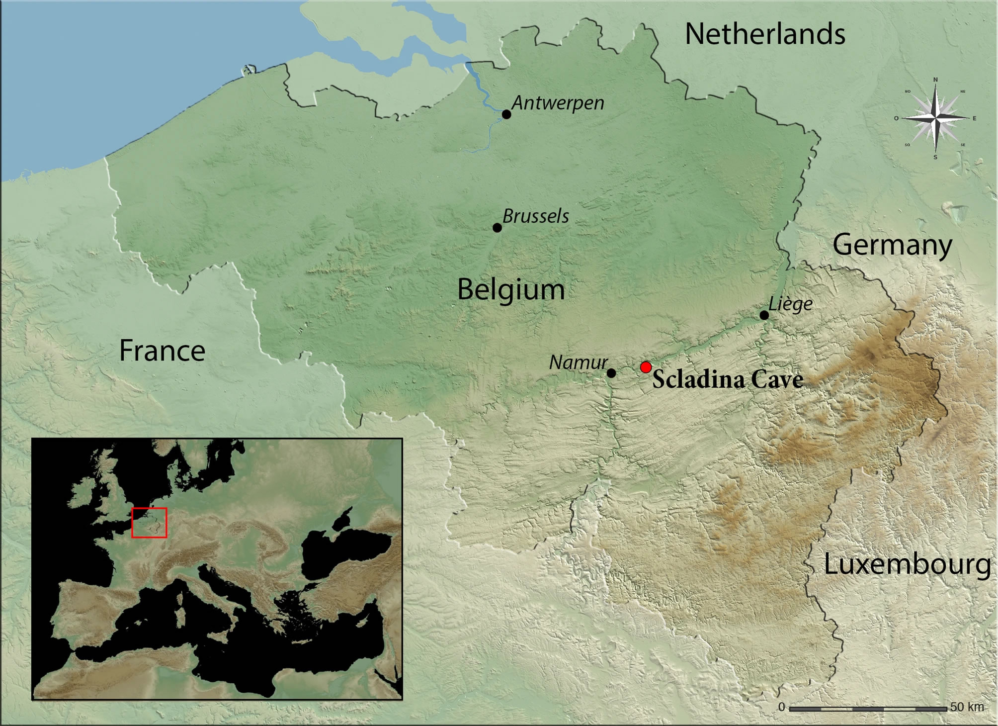 ���ᰲ�����˶�Ѩ�з��ֵ��ɶ�ʨ���Ƴɵ�ʷǰ����ʿ������