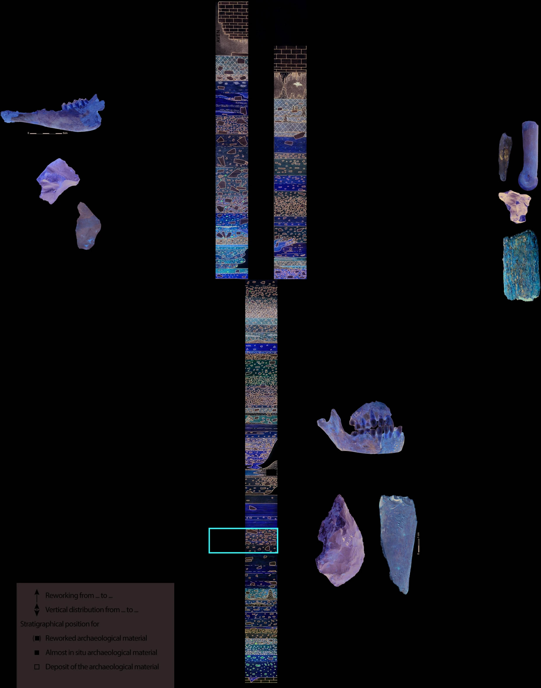 ���ᰲ�����˶�Ѩ�з��ֵ��ɶ�ʨ���Ƴɵ�ʷǰ����ʿ������