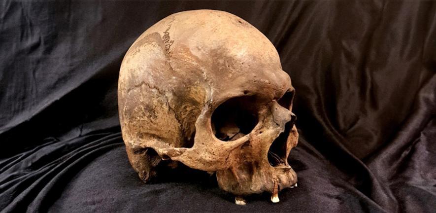 ���ģDNA�о�������37000������༲��ʷ