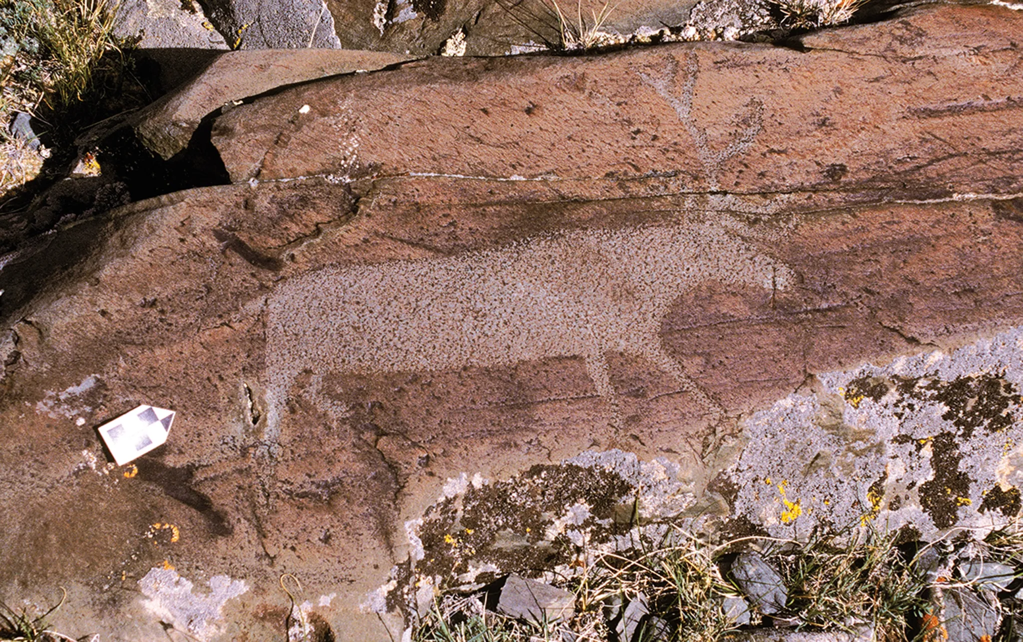 Ϊʲô�Ŵ��˰���¹������һ���Ĺ���