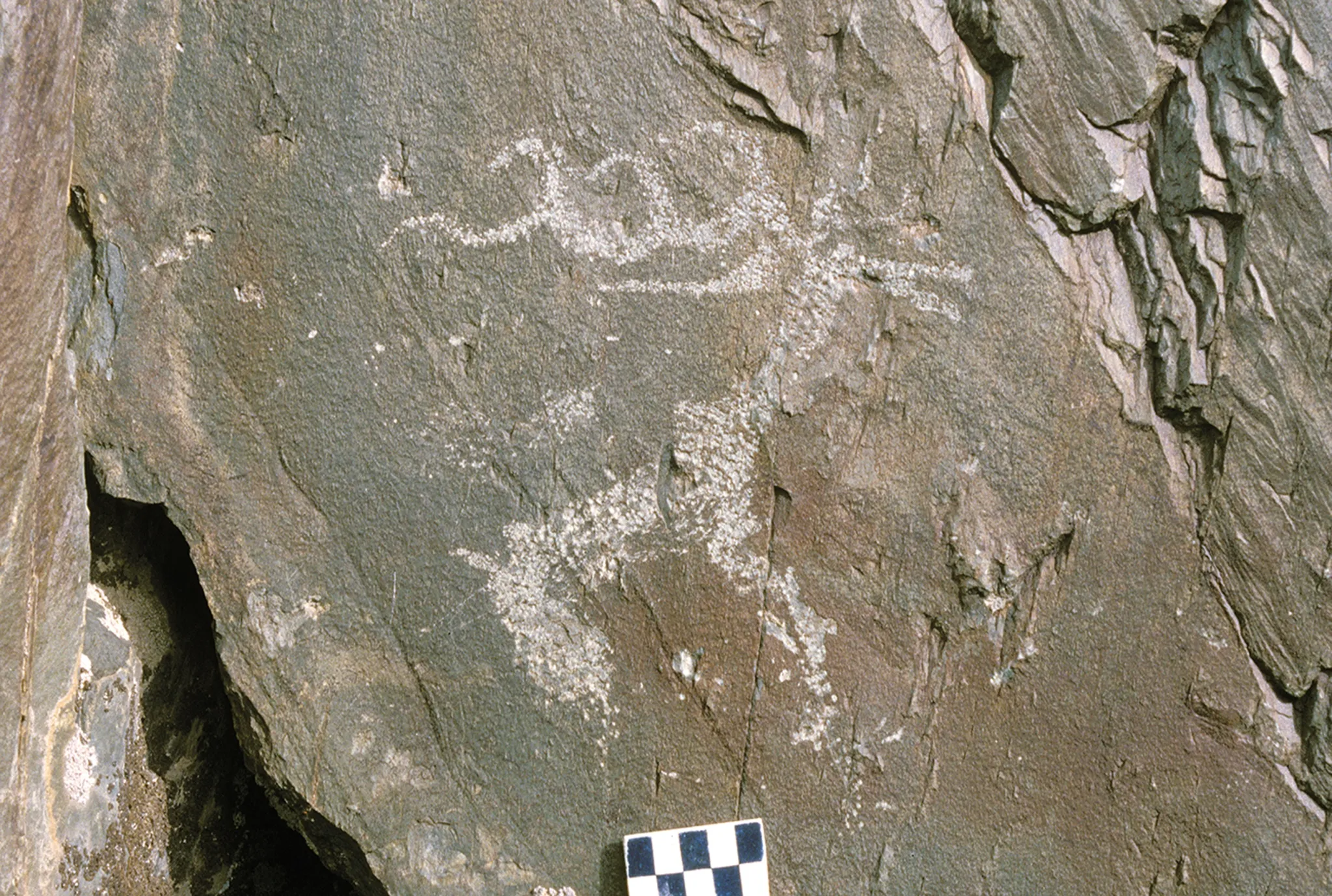 Ϊʲô�Ŵ��˰���¹������һ���Ĺ���