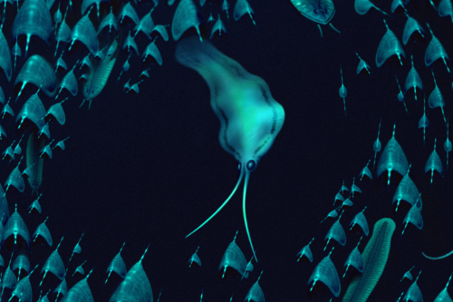 �о����Ŵ�����״�������¹���Ϊ�������������