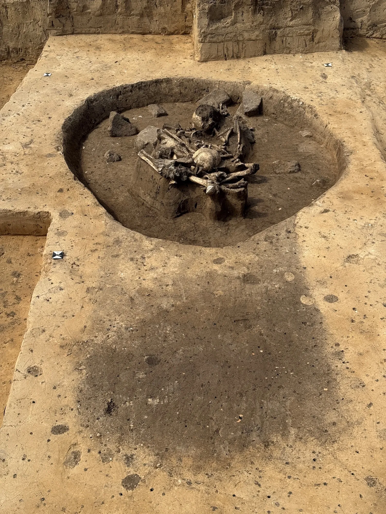 德国105英里长的电力线项目继续揭示5000年前令人难忘的新石器时代秘密