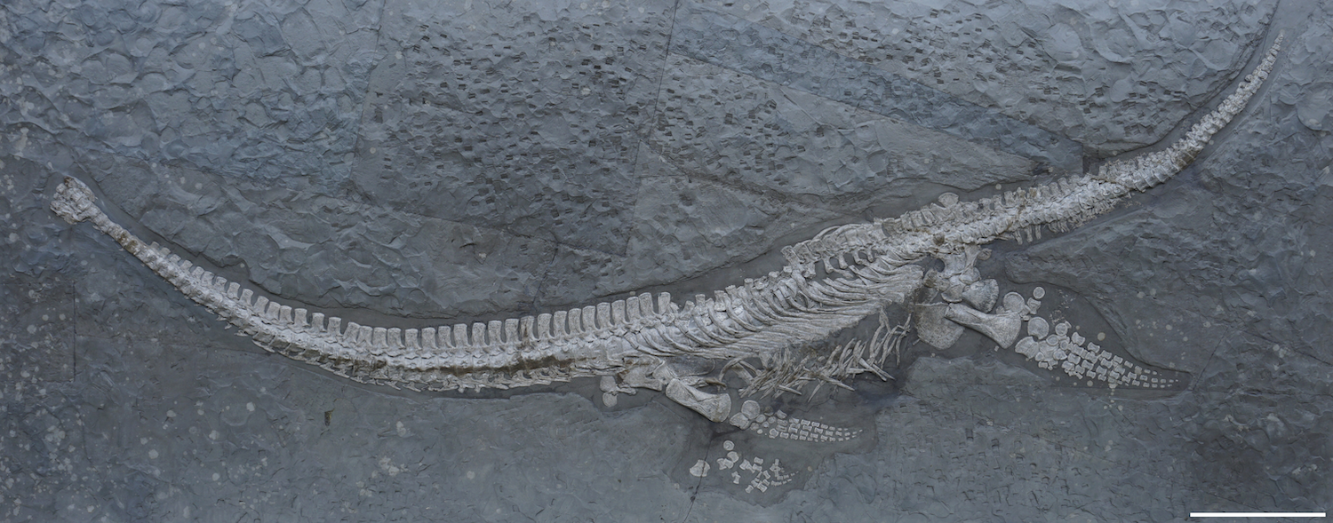 ������ѧ���ڵ¹����֡���ͬѰ�����ĳ����߾���