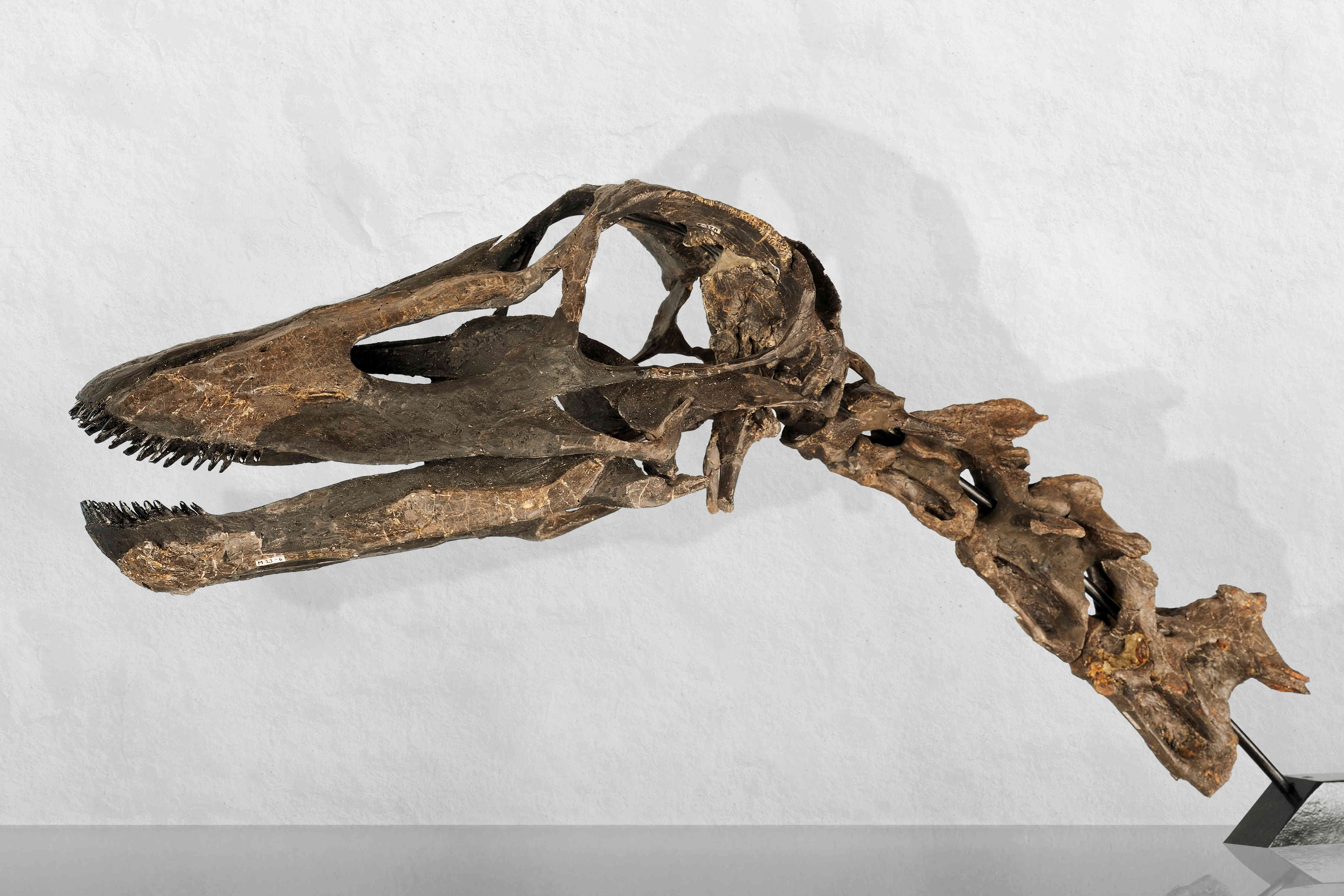 ���������ݾ�������ʱ�佺�ҡ����ҿ��˵�������������������