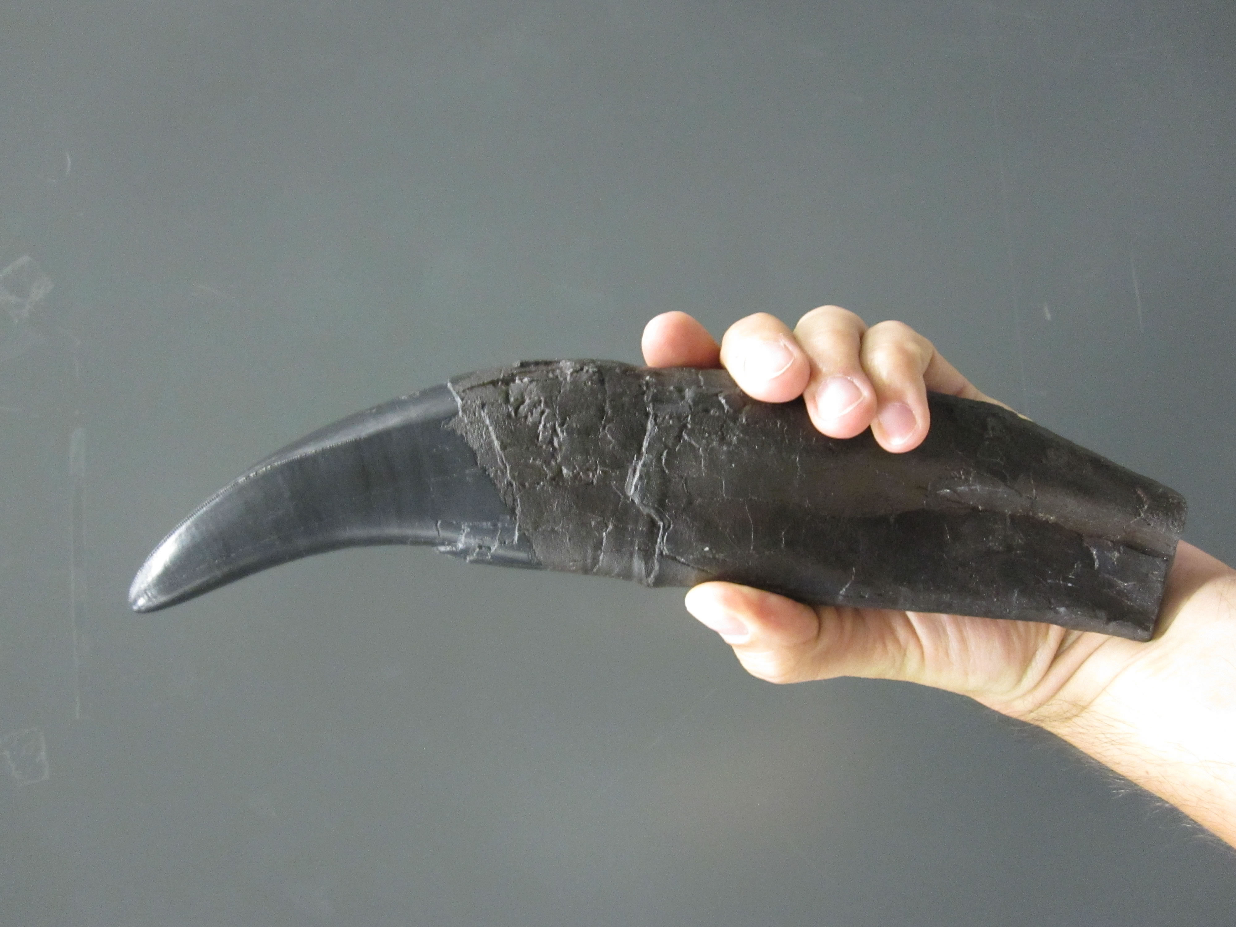 ���������ݾ�������ʱ�佺�ҡ����ҿ��˵�������������������