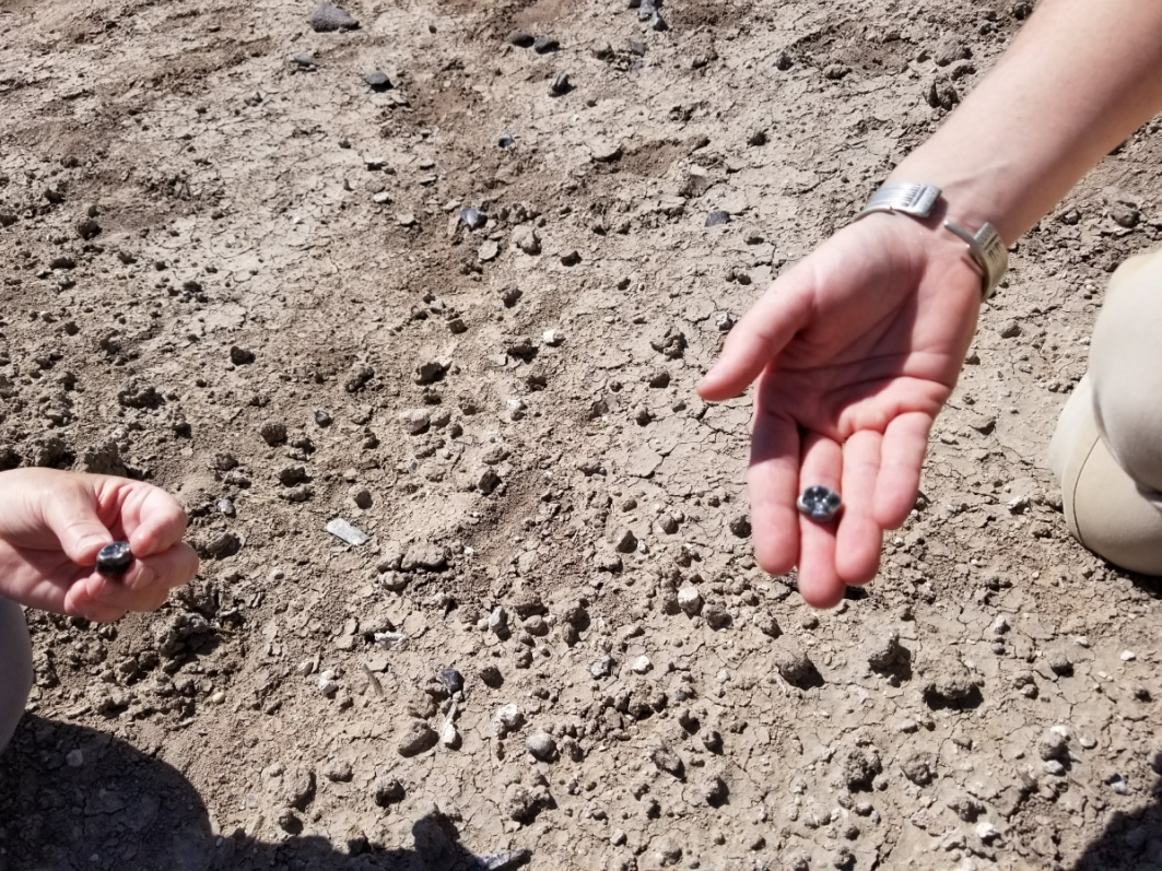 ��ѧ�ҷ������µĻ�ʯ���Լ�һ���µĹŴ�������������