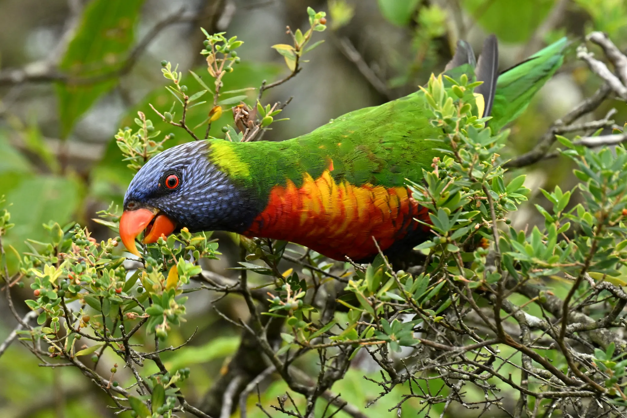 Ϊʲô������µ���