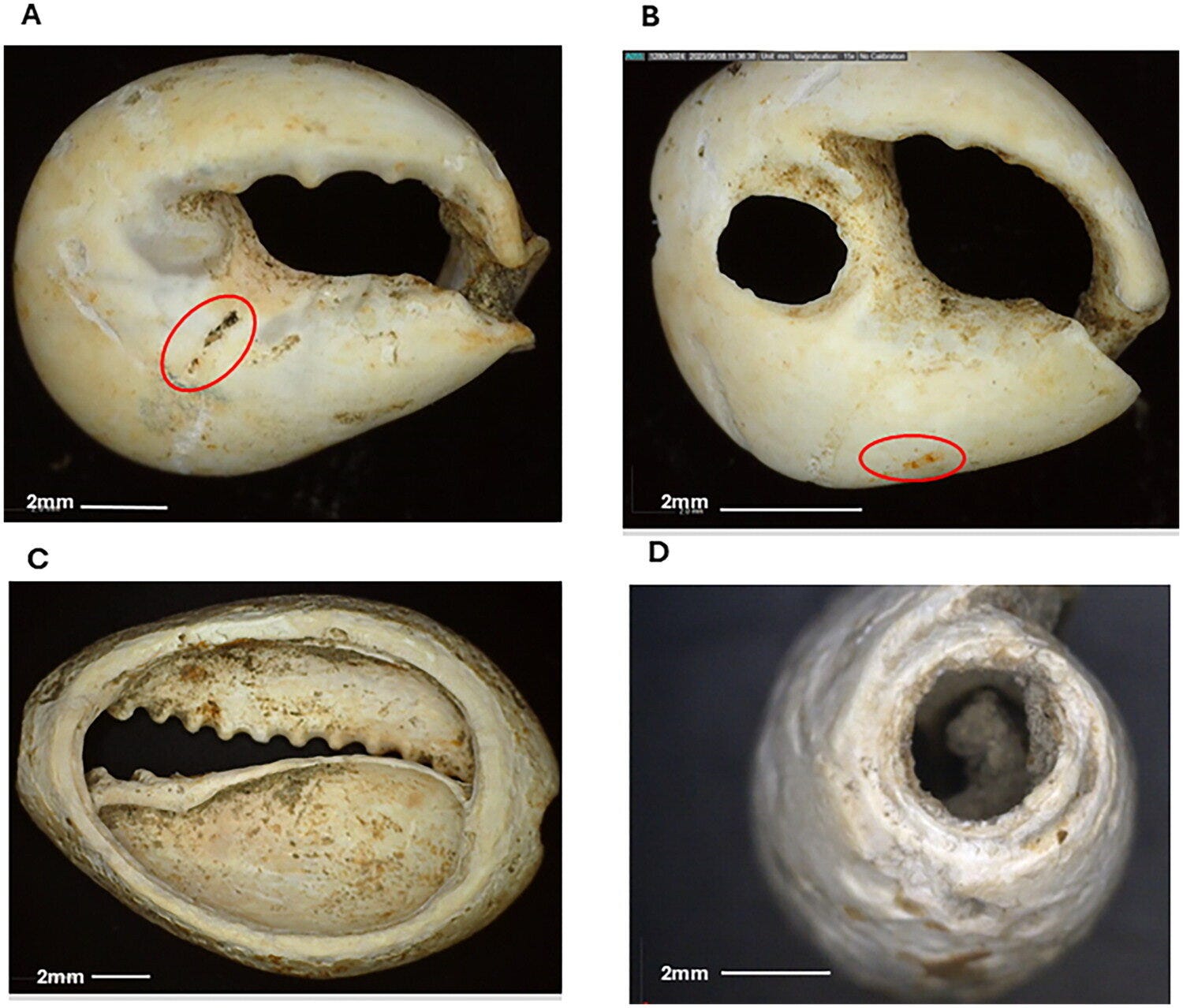 �Ŵ����Ǻ�������ʾ�˴������������񳤴�3200���ó��·��