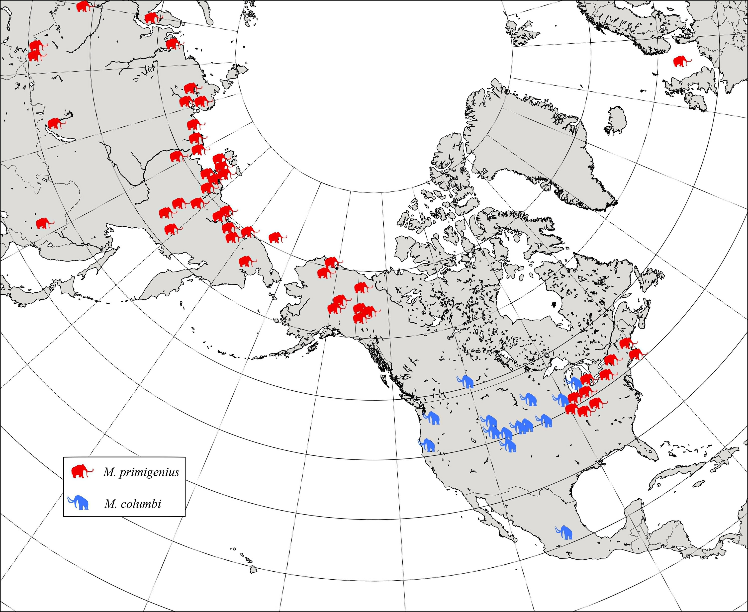 ����ī�����������DNA��ʾ�˲�ͬ����ϵ