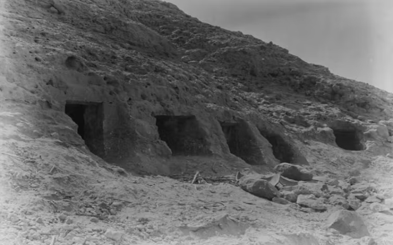 ���ǽ�����һ������������ϵĻ������ݣ�����4500��ǰ������