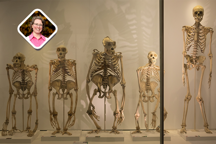 �о���ʾ�������������ߵĽ�����Ϊ����